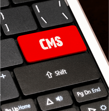 content management development