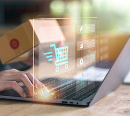 ecommerce website development