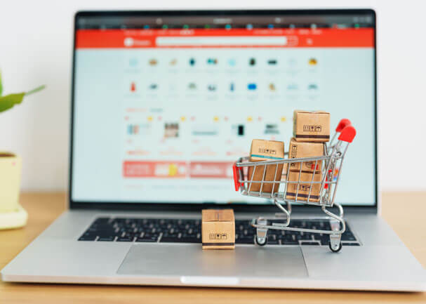 the basics of ecommerce SEO