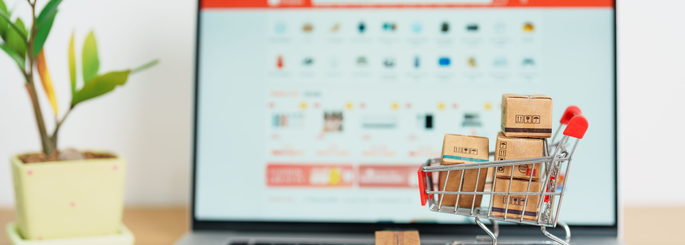 basics of ecommerce seo