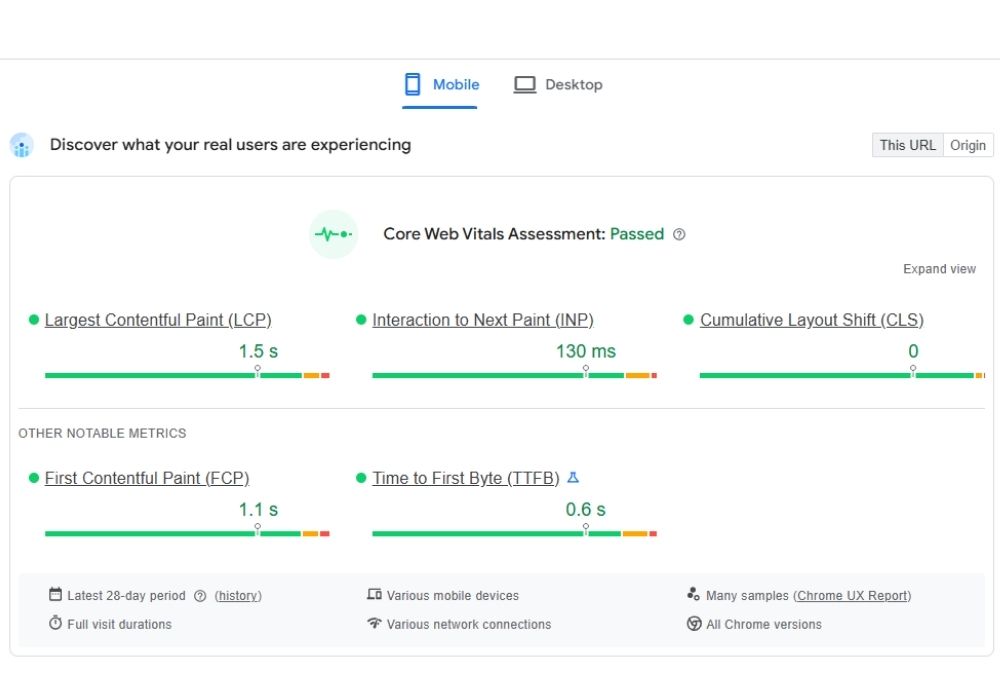Performance report from Google PageSpeed Insights